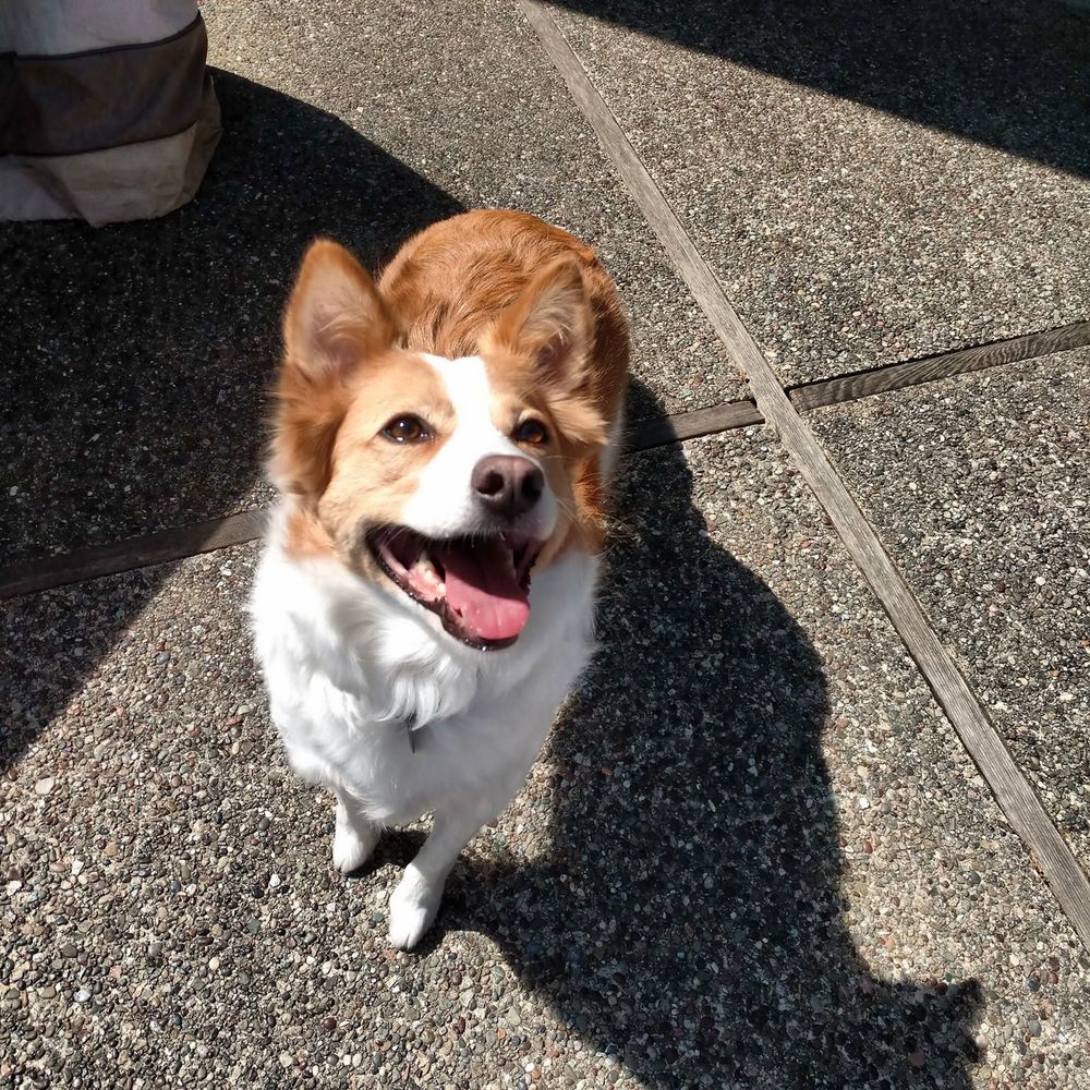 Meet your Posher, Julia